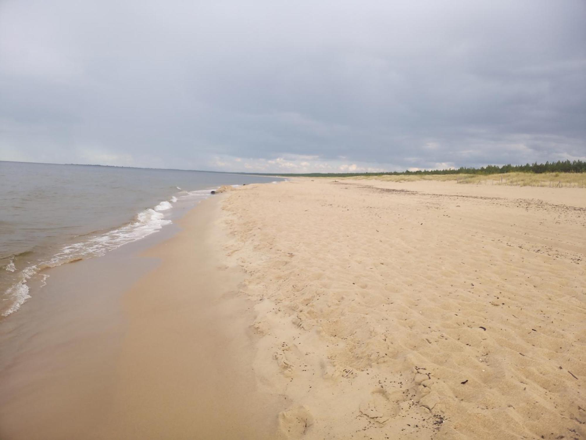 Pokoje Sobie Na Wyspie Gdańsk Buitenkant foto